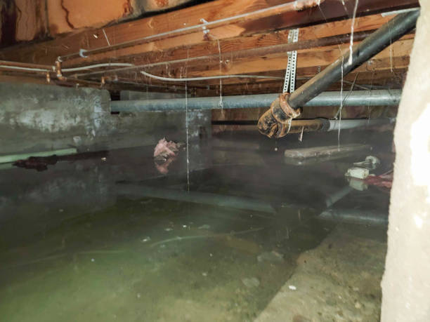 Water damage restoration process in Gibsonton, FL