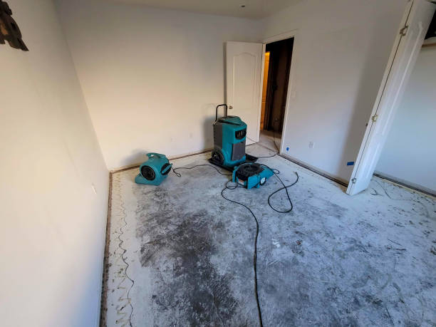 Professional Water damage restoration in Gibsonton, FL